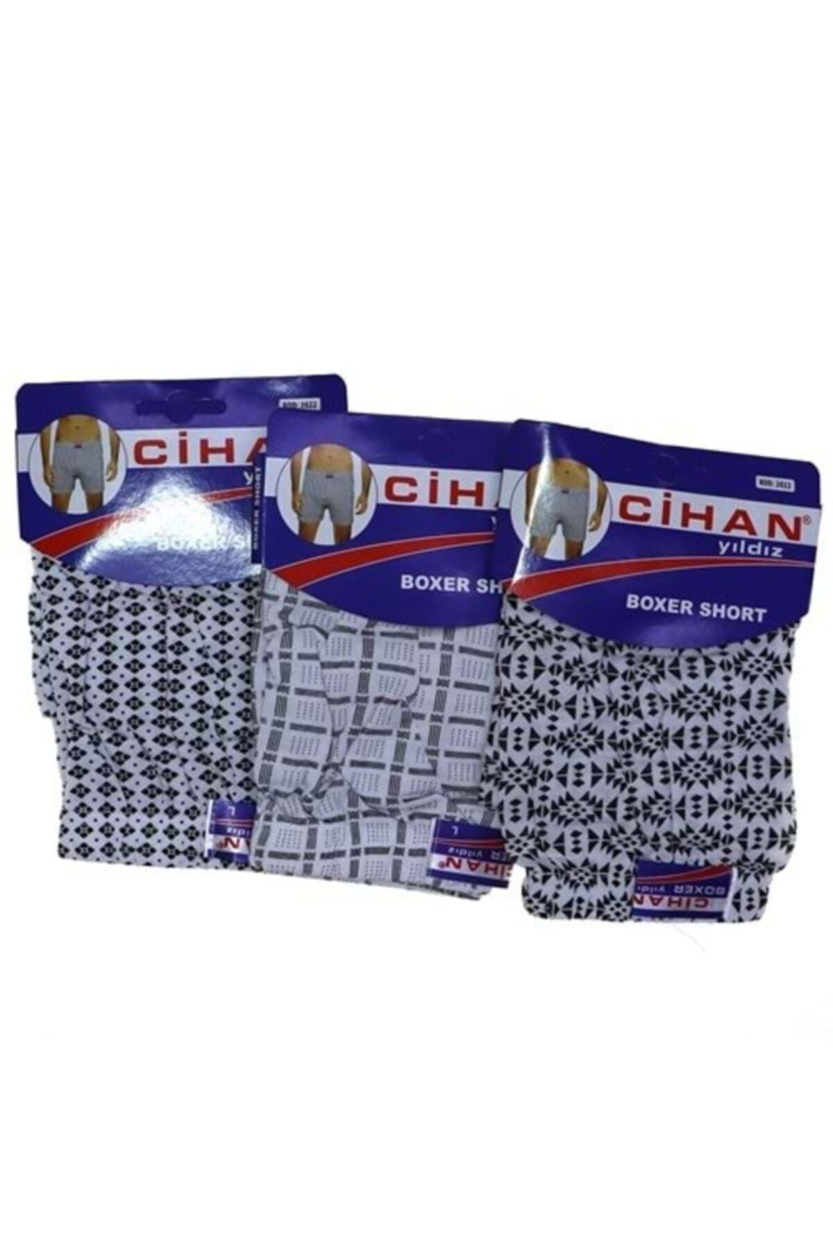 Cihan 2022 Economic Patterned Men's Boxer/mixed/9